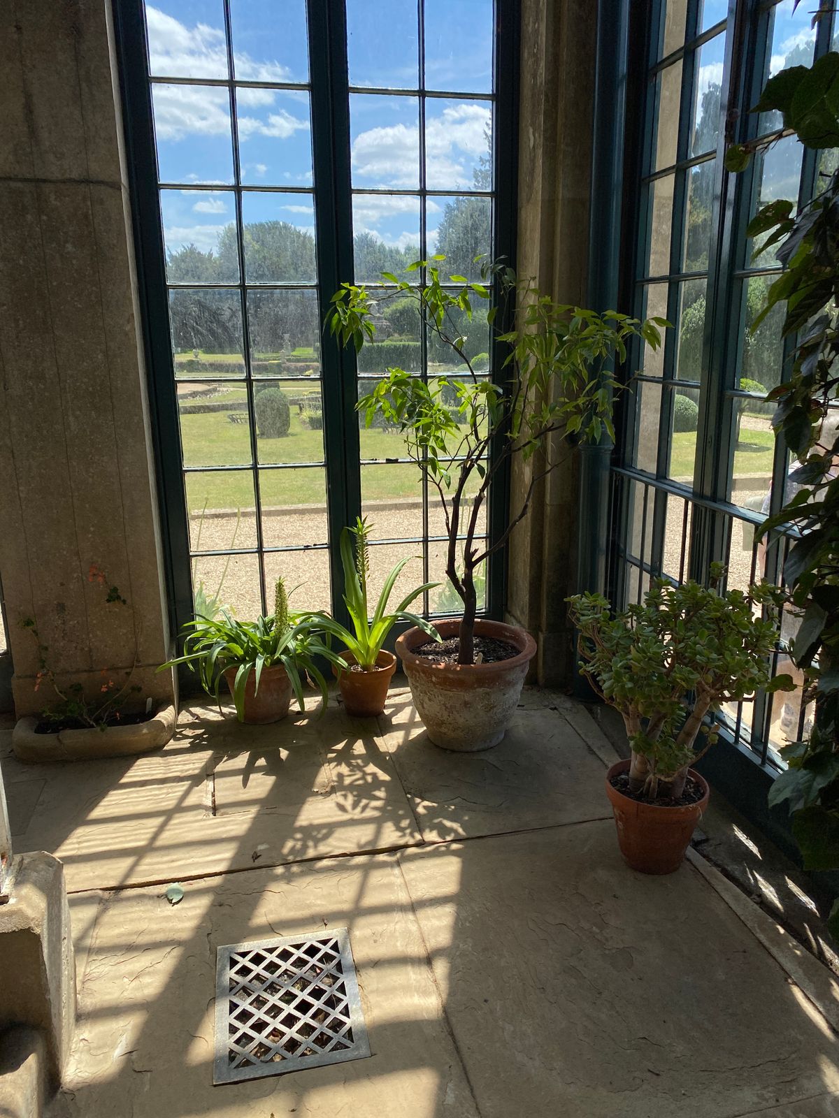 Sunlit conservatory corner with plants and large windows